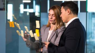 Professional risk assessment with project management