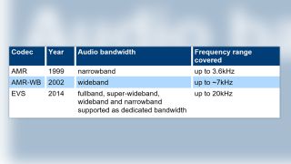 Audio bandwidth for common codecs in mobile voice services