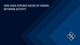 AVQA – Exposing hidden network activity